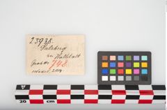 Etikett zu Bronzemehrkopfnadel (NHMW-PRAE-025938)